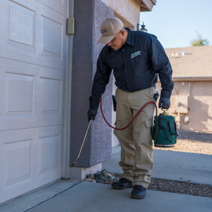 Northwest Exterminating project