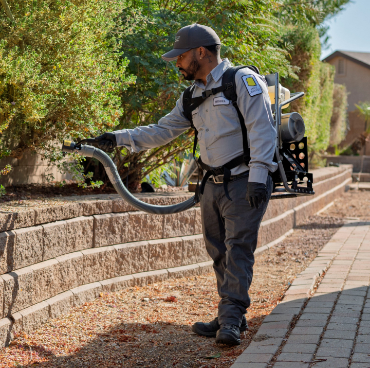 Northwest Exterminating project
